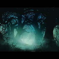Celtic Instrumental Music - Darkwood Forest
