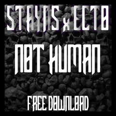 STAYNS X ECTO - NOT HUMAN (FREE DOWNLOAD)
