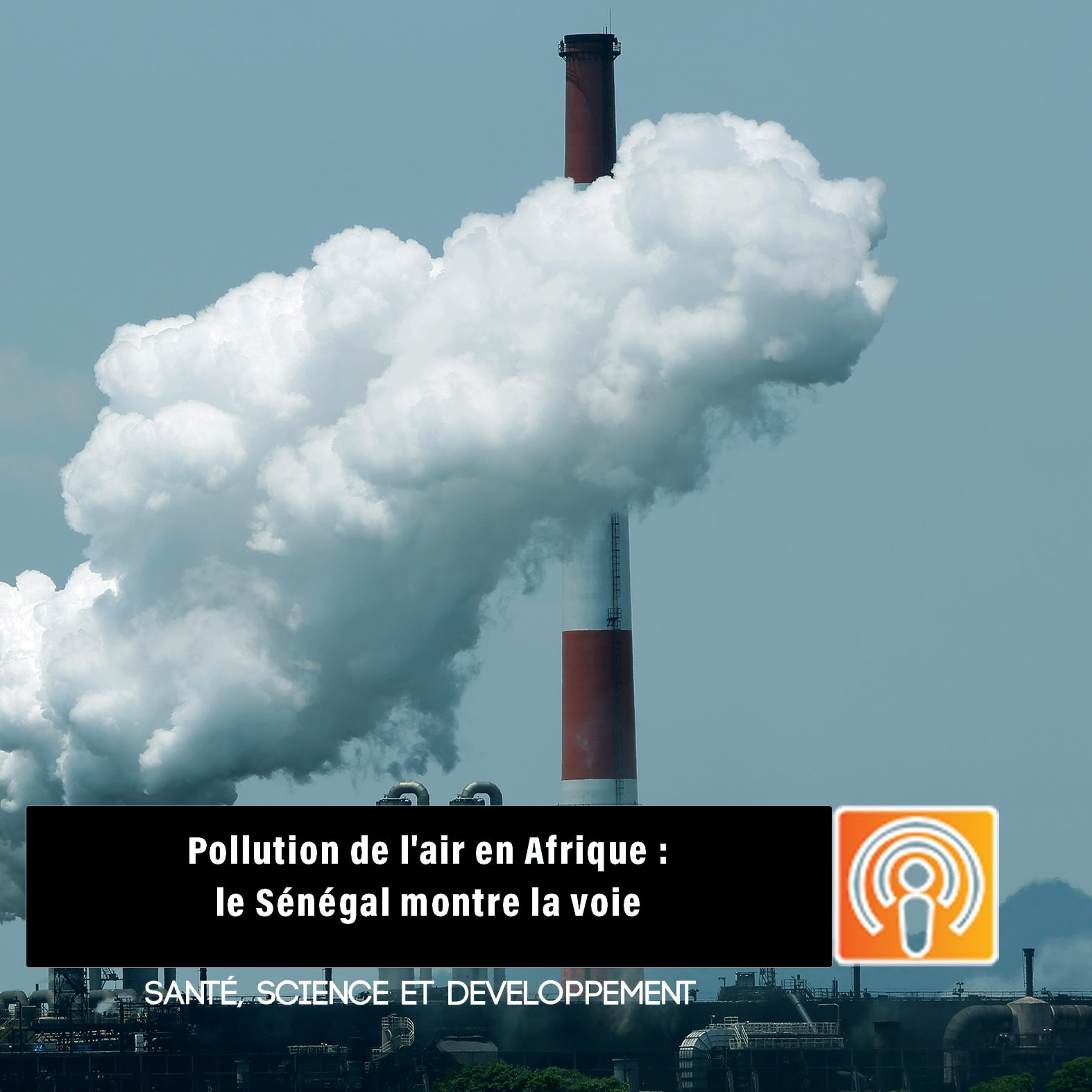 SSD - La science en direct