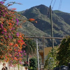 Mobile Suit Acid Streams