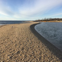 Strata for flute, oboe, cello and piano