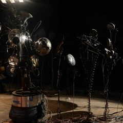 L'Electric Botanic 2013 with Elise Caron, Edouard Perau, et Toma Goubang