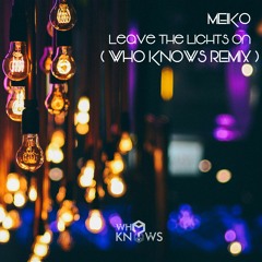 Meiko - Leave the Lights On (Who Knows? RMX) [FREE DOWNLOAD]