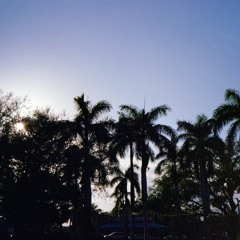 mir in daylight