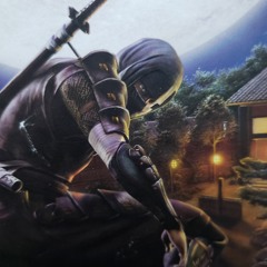 Mistic Formula Warrior