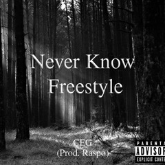Never Know Freestyle (Prod. Raspo)