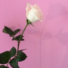 KAZ & BANNER - BLOC2BLOC - 9 JAN 2020