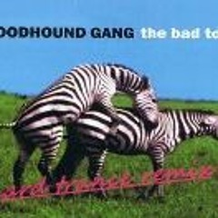 Bloondhound Gang Hard Trance Remix (free download)