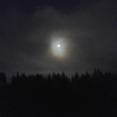 Night