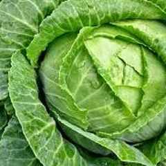 FUCK SELLING CABBAGE (PROD. Bowdak)