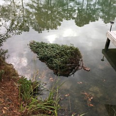 level with me - an original mini diddy