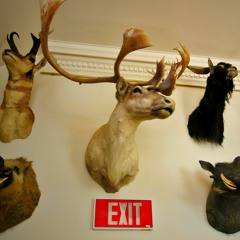 The Washington Bullets