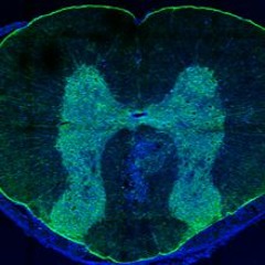 Mac Miller/Lil Uzi/Guccihighwaters Space Ambiance with Bells, Guitar, Synth (Prod. QuixoticZ)