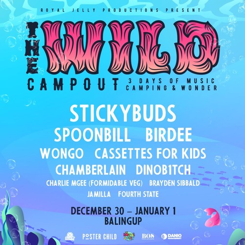 Birdee live from the Wild Campout NYD