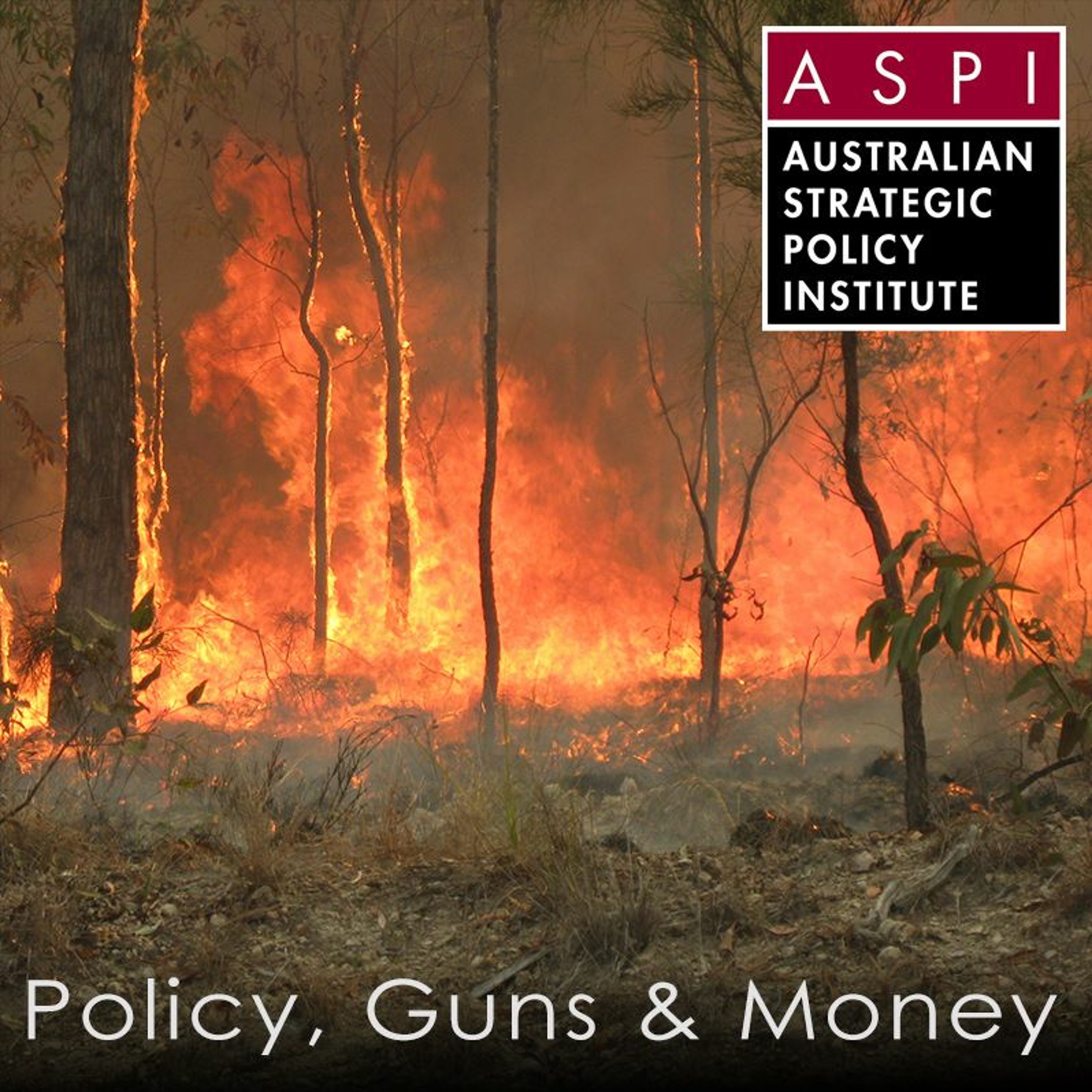 ASPI Podcast: Policy, Guns & Money
