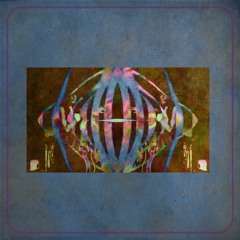 Sula - Winter 2020