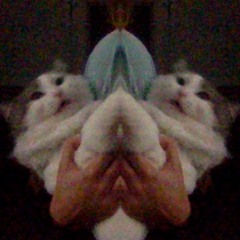 born to die cover featuring MEG!