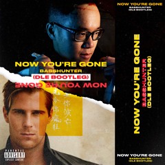 Now You're Gone (DLE Bootleg)- Basshunter