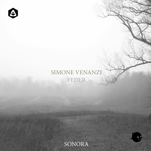 Simone Venanzi Simone Venanzi