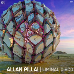 PREMIERE: Allan Pillai  - Liminal Disco [Soupherb Records]