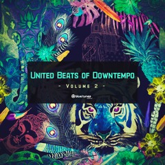 Voice Of All - United Beats Of Downtempo vol. 2 (promomix)