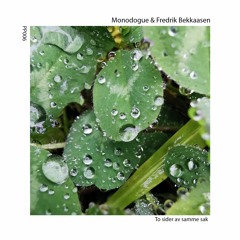 PP006 - To sider av samme sak