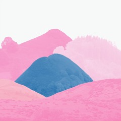 Islet - Geese