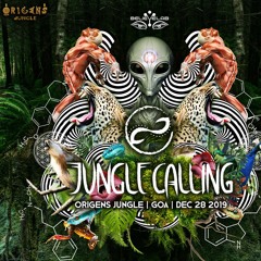Janux @ Jungle Calling Festival (by Believe Lab) @ Origens, Goa