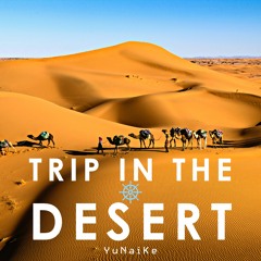 Trip In The Desert（Lofi HipHop）