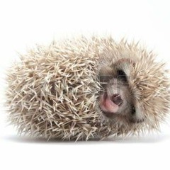 SLIDE AWAY (8 TRACK)