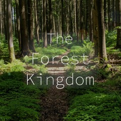 The Forest Kingdom || Fantasy Music