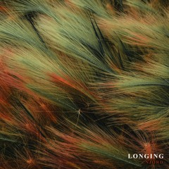 Njord - Longing