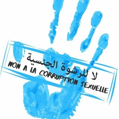 حوار السيد علي صدقي مع الإذاعة الجمعوية إزرفان