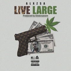 Live Large (Official Audio)