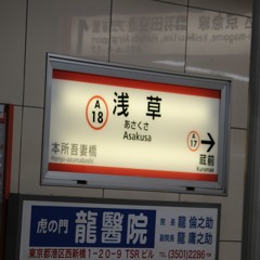 私的桜