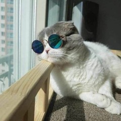 Animal Crossing - Load Your Game