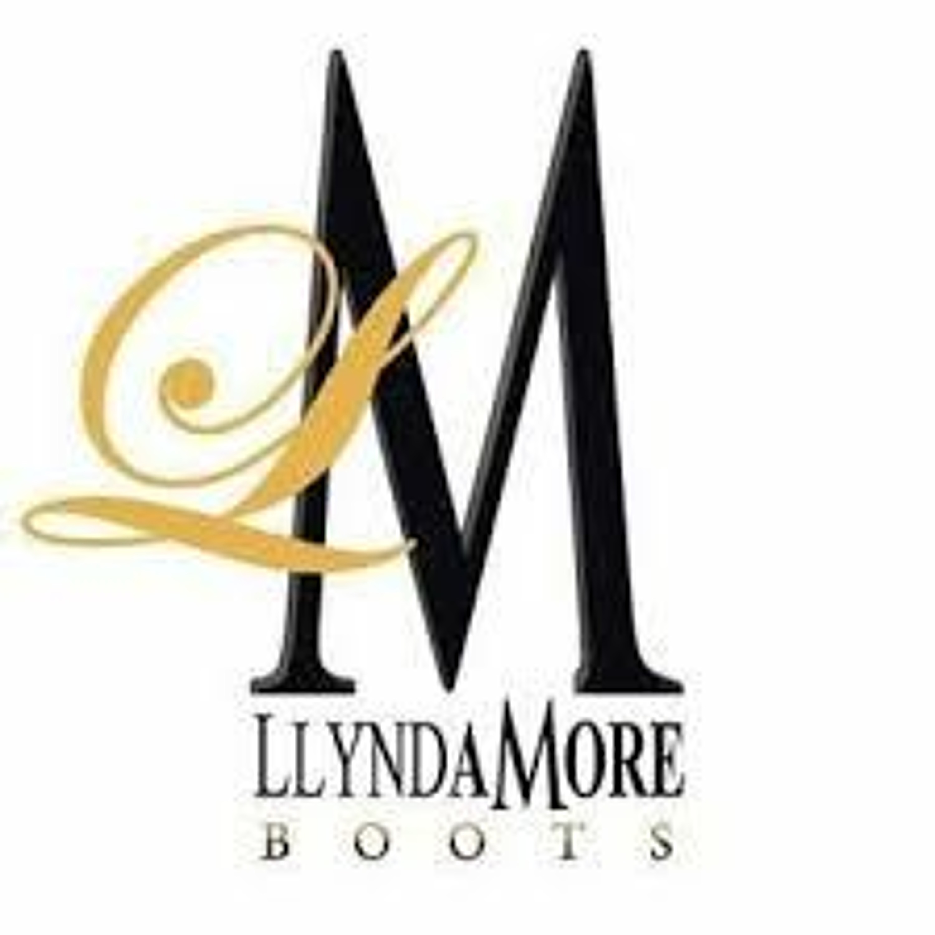 VNS PODCAST - FROM JANUARY 12, 2020_LLYNDA MORE BOOTS