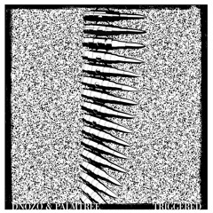DNOZO & PALMTREE - TRIGGERED