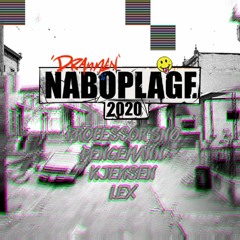 Naboplage 2020 - Nabosnekk