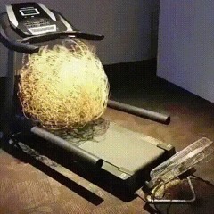 B*TCH ON MY D*CK (FREE STYLE) (prod. shiftXD) ft. BRIXN, RUSH-B, YNW DANIELA