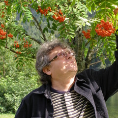 "Колея"