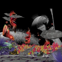 If Dolphins had Thumbs