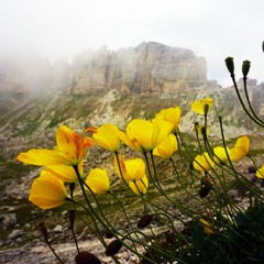 Gentle Mountain Storm | Distant Rainstorm Nature Sounds