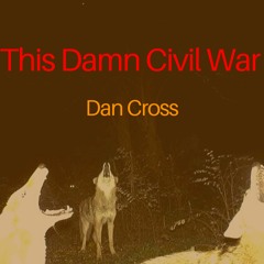 This Damn Civil War