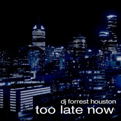 DJ Forrest Houston - Too Late Now