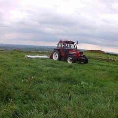 Robert Mizzell - Louisiana Saturday Night