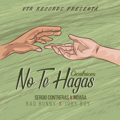 Sergio Contreras feat. Indara - No Te Hagas Cicatrices (Mike Gonzo & Antonio Colaña VIP Mashup)