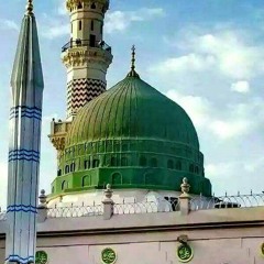 Tajdar E Haram On Violin By Ustad Raees Khan Sahib