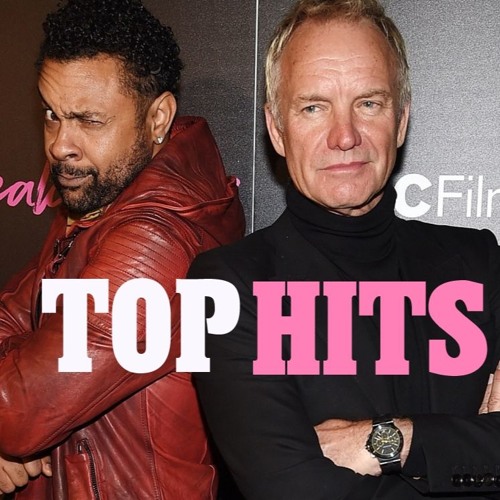 TOP HITS STING & SHAGGY