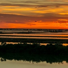 CarolS pres. Before I'll Go